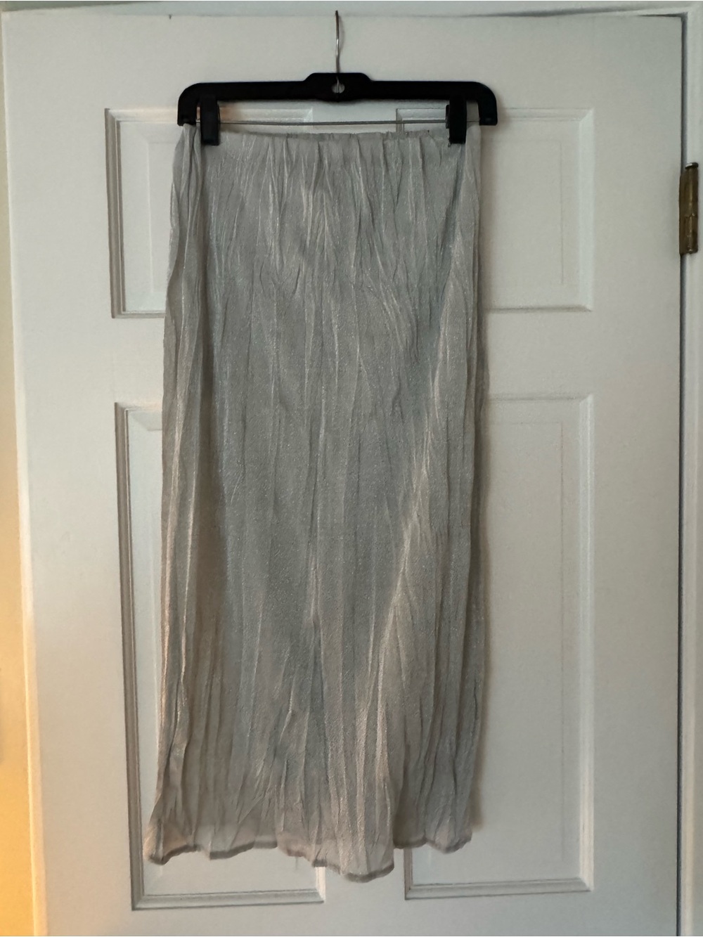 Zara Silver Sheer Maxi Skirt